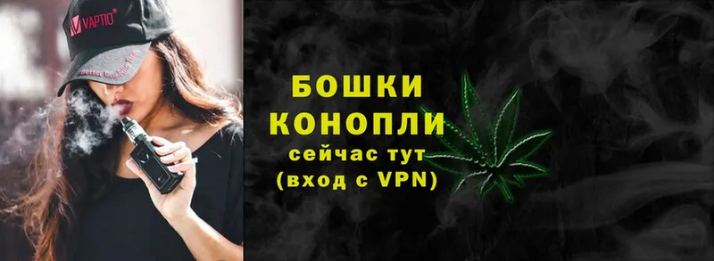 Бошки Шишки SATIVA & INDICA  цена наркотик  дарк нет формула  Ивантеевка 